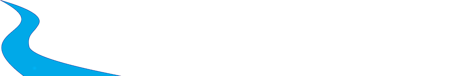 River Capital Partners LLC